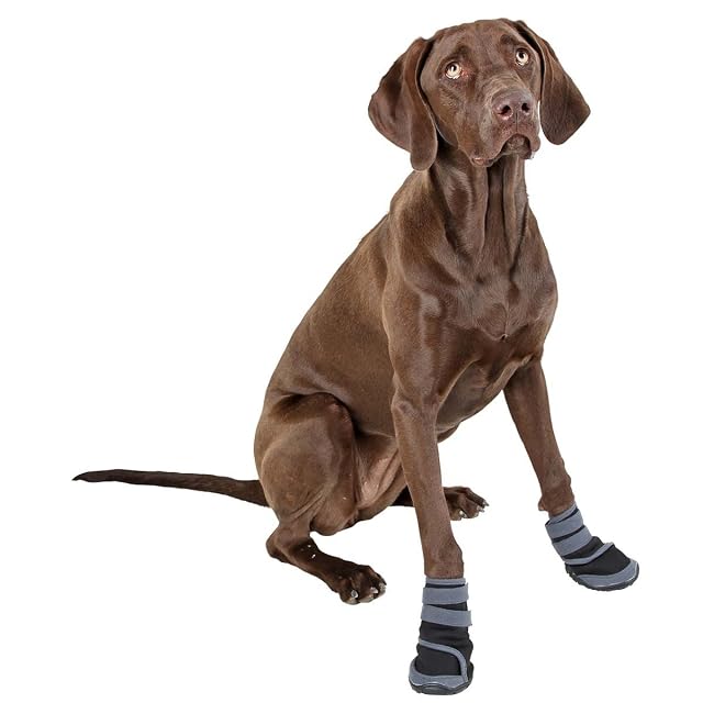 Foto 2 de 2 de KERBL Pet Paw Protection Active, Small, Grey/Black