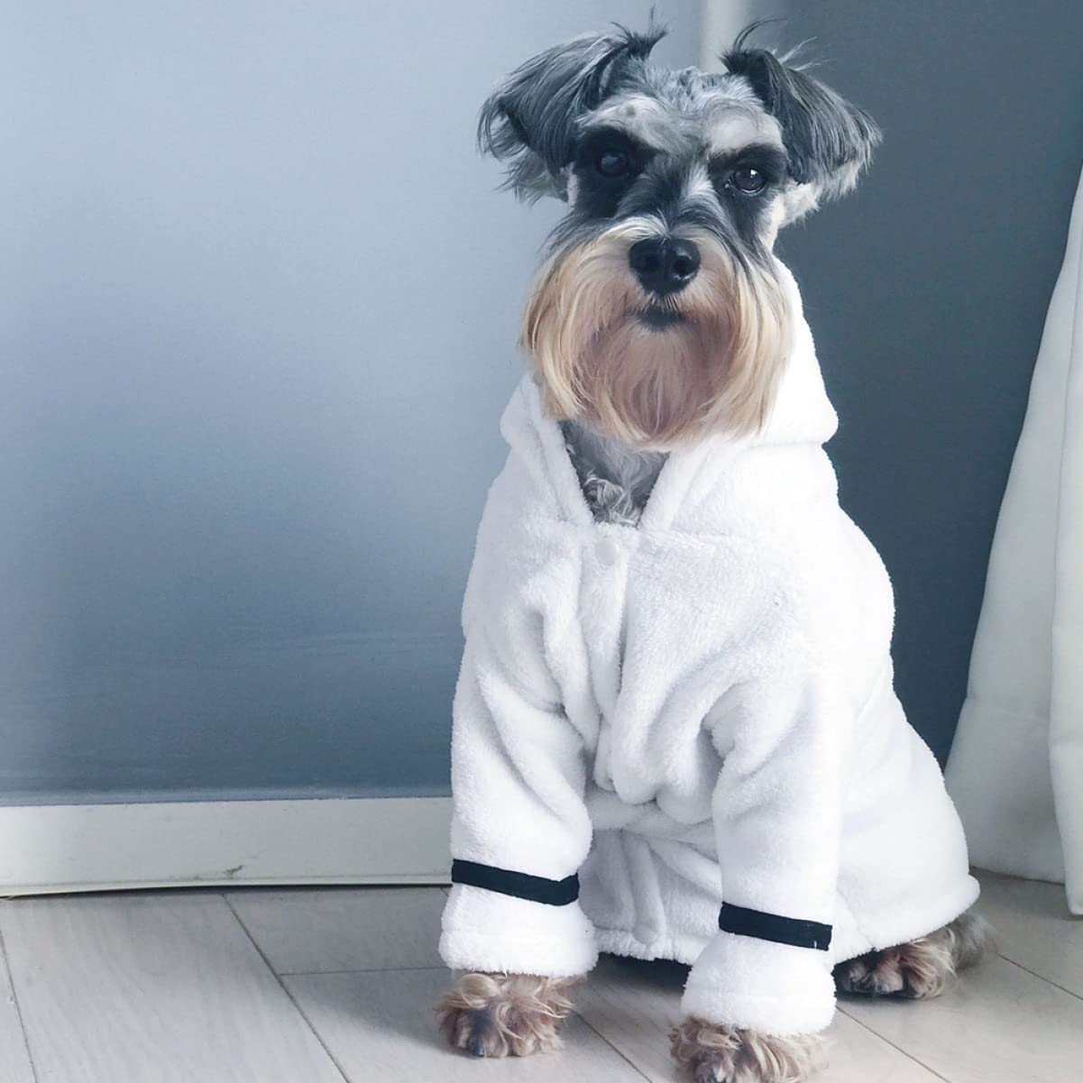 Accappatoio Assorbente per Animali, Asciugatura Rapida, Cotone | Bianco, per Cane e Gatto, Uso Dopo Bagno Autunnale, Stile Morbido e Caldo