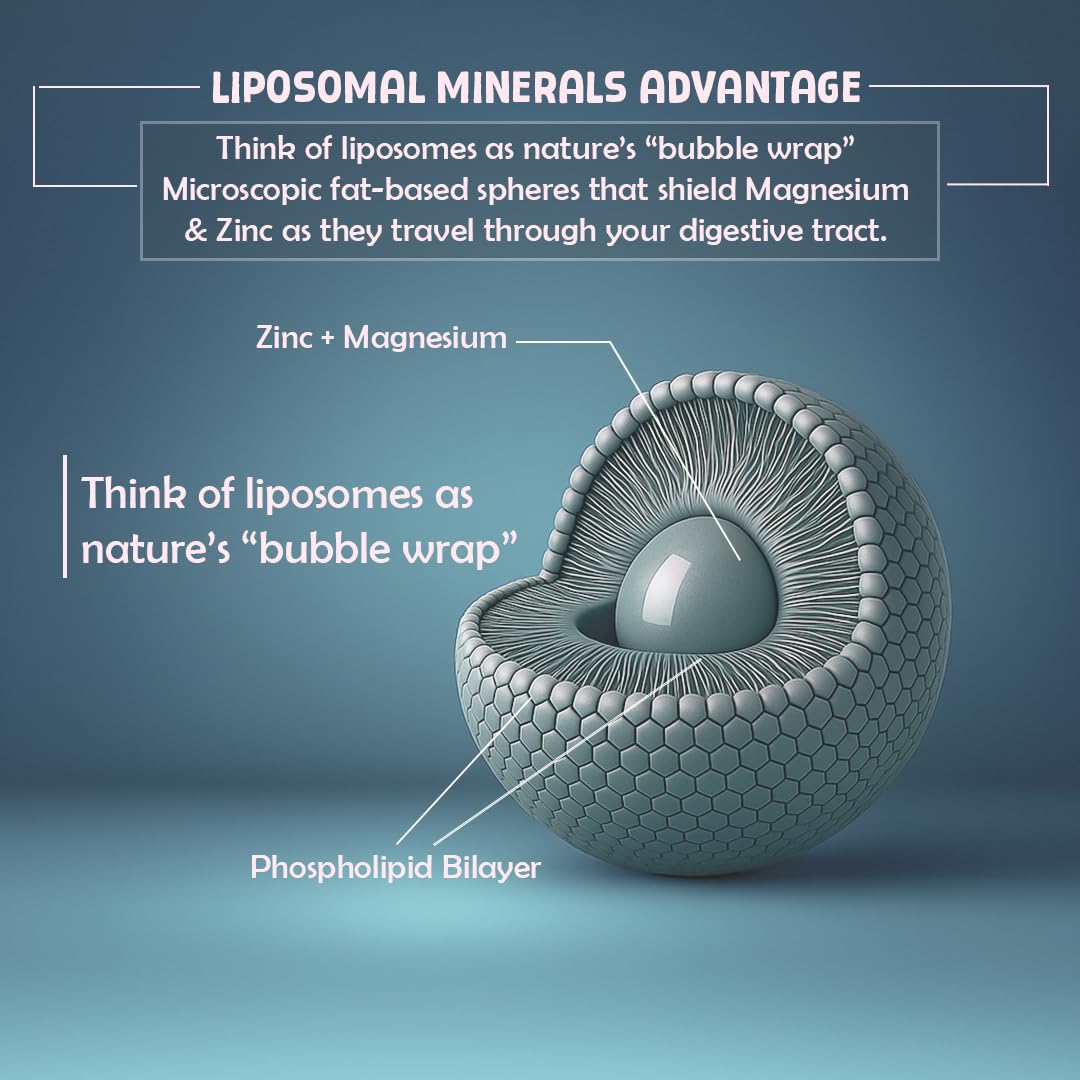 BeastLife Liposomal ZMA | Zinc Magnesium Aspartate Capsules | Ultra Absorption | Muscle Repair, Sleep Quality, Stress & Mood Balance | Metabolic & Immune Support | 60 Capsules 4