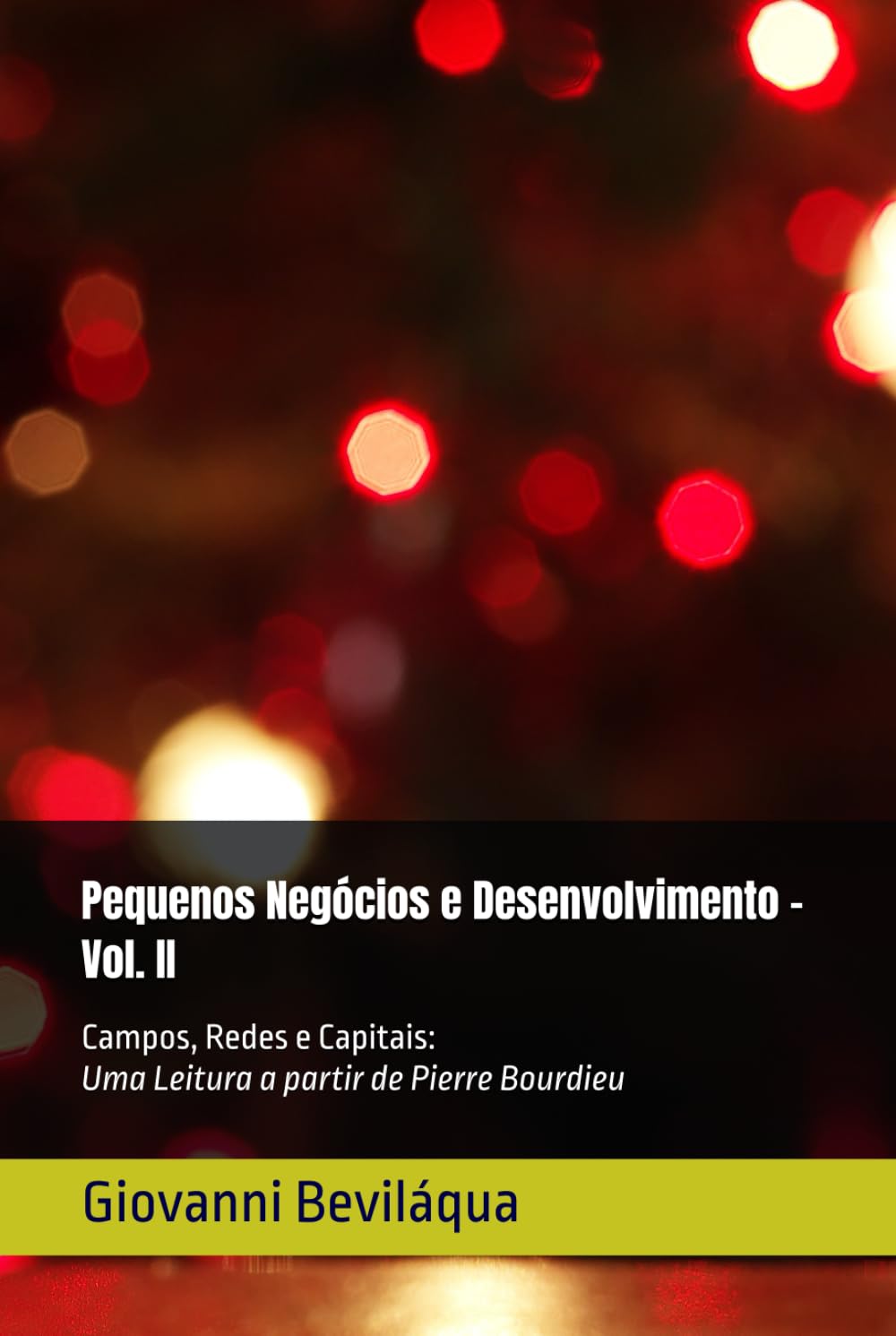 Pequenos Negócios e Desenvolvimento - Vol. II: Campos, Redes e Capitais: Uma Leitura a partir de Pierre Bourdieu (Pequenos Negócios e Desenvolvimento Social e Econômico)