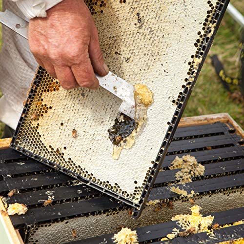 Egmont Honey Manuka Honing 1050+ MGO UMF 23+ origineel uit Nieuw-Zeeland *Limited Edition* (250g) - Image 7