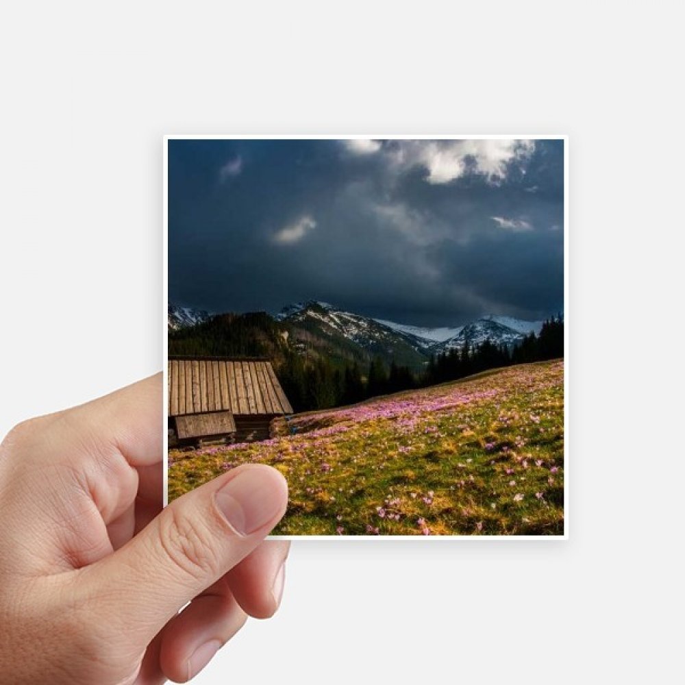 Autocollant carré 10cm paysage des forêts lot de 8 stickers multicolor pour mur et PC