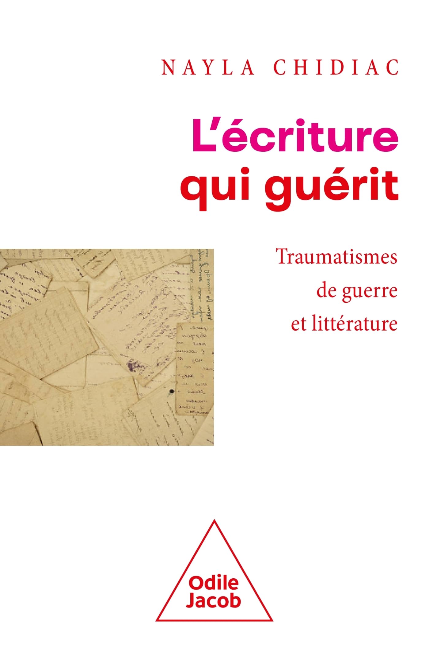 L'Ecriture qui guérit: Traumatismes de guerre et littérature