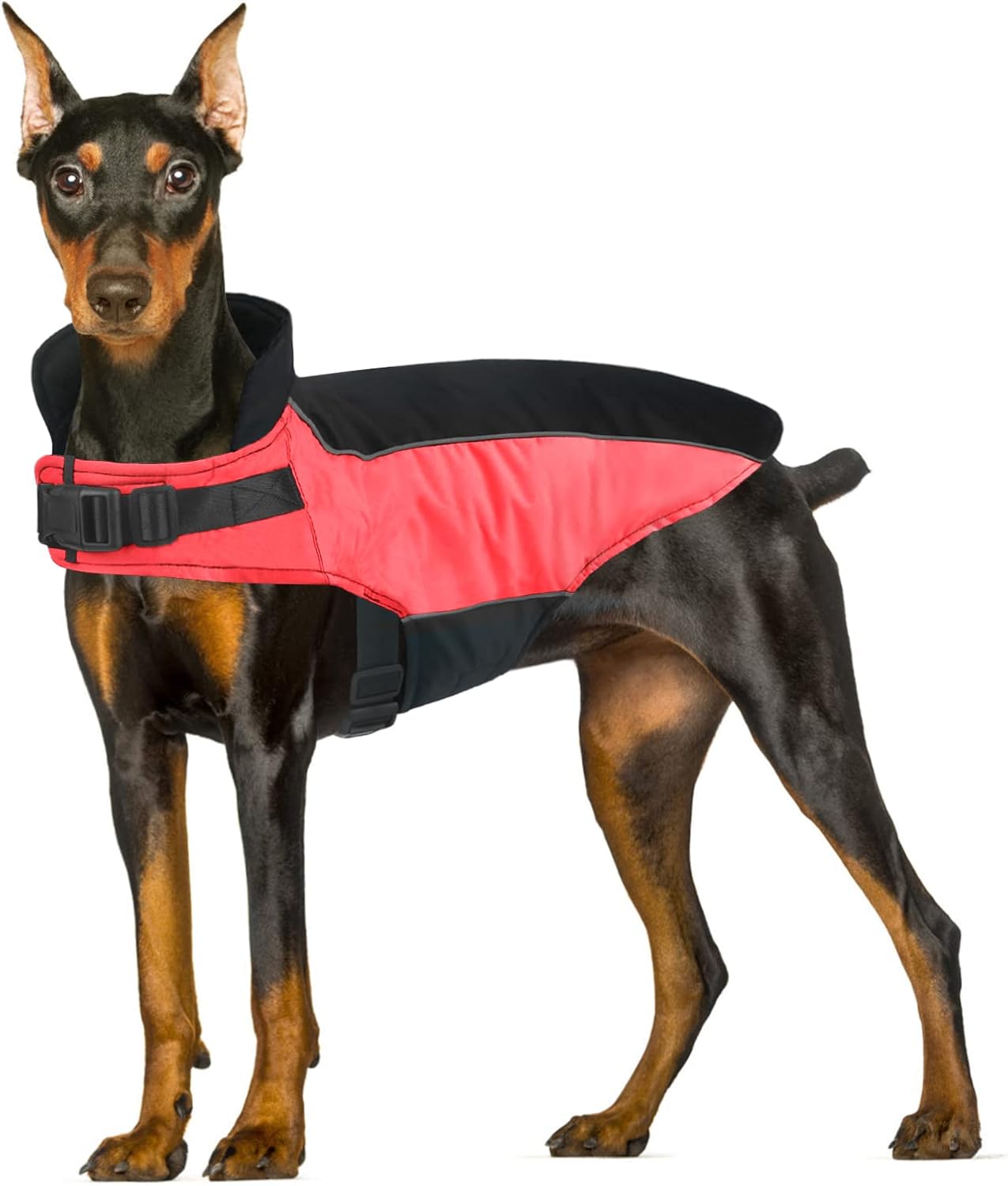 Oslueidy Abrigo de Invierno para Perros, Ropa para Mascotas Chaqueta cálida para Cachorros, Chaleco Impermeable para Perros pequeños Ropa para Gatos para Perros pequeños y medianos Bulldog Teddy