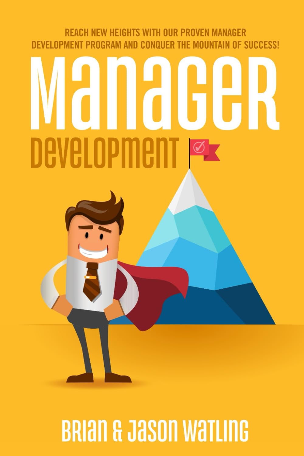 Developing Management Skills