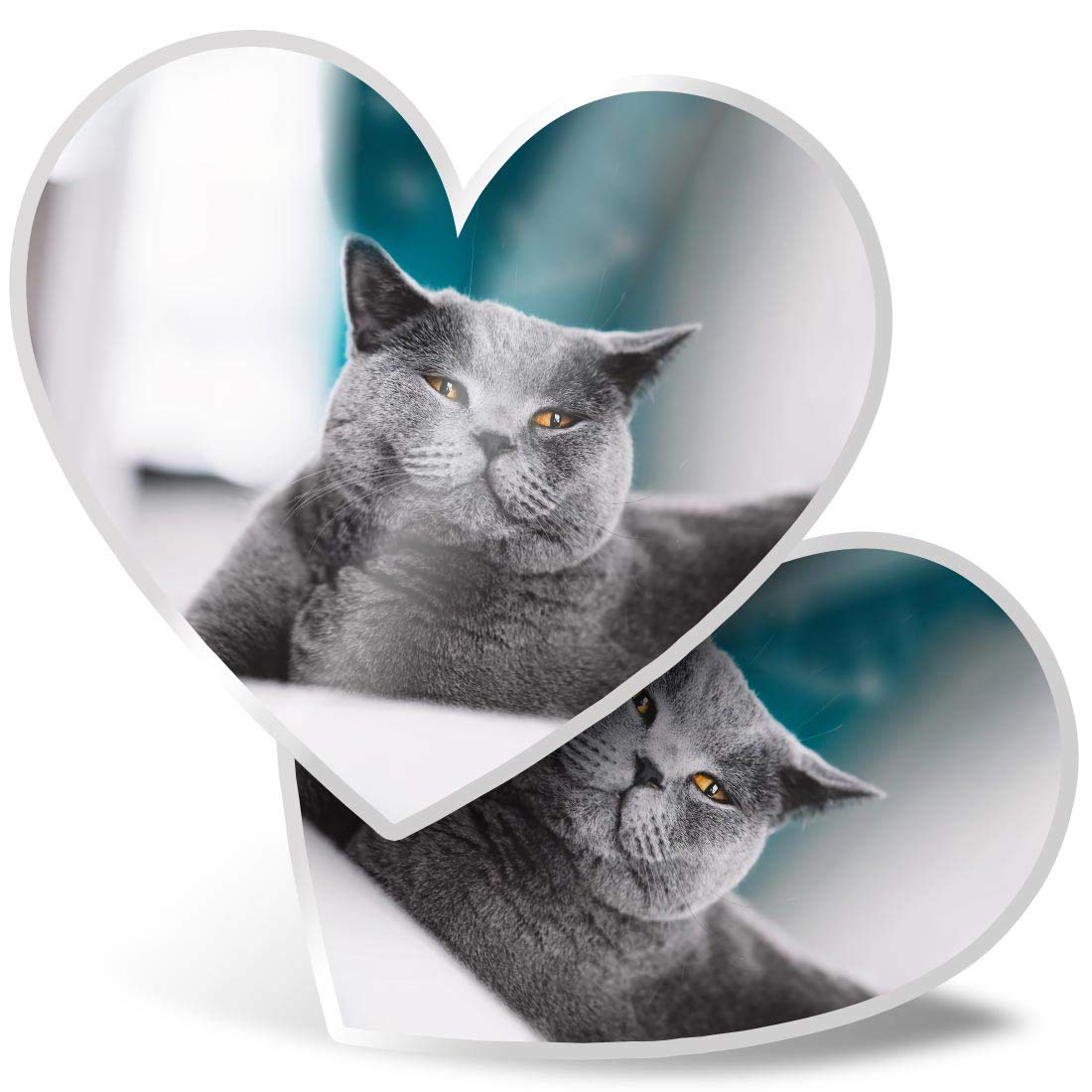 2 x 7.5cm Heart Stickers - Grey British Shorthair Cat Kitten Decals 45244