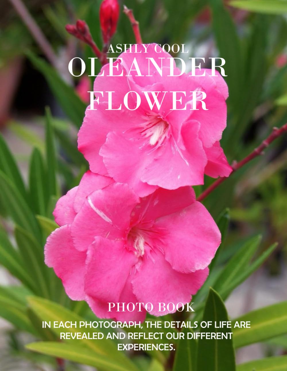 Oleander Flower: Exploring Oleander Flowers: A Visual Journey Through Nature’s Vibrant Blooms