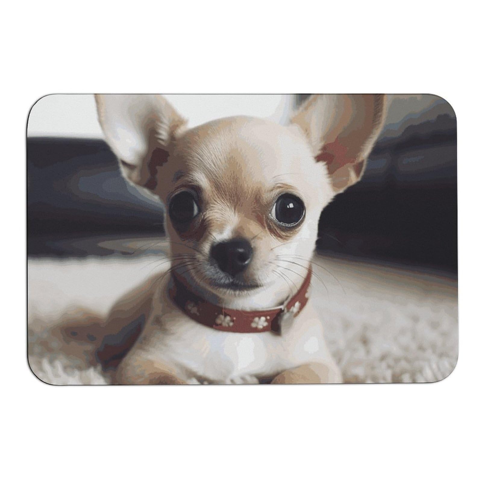 Tapis de douche absorbant à séchage rapide motif Chihuahua rigide
