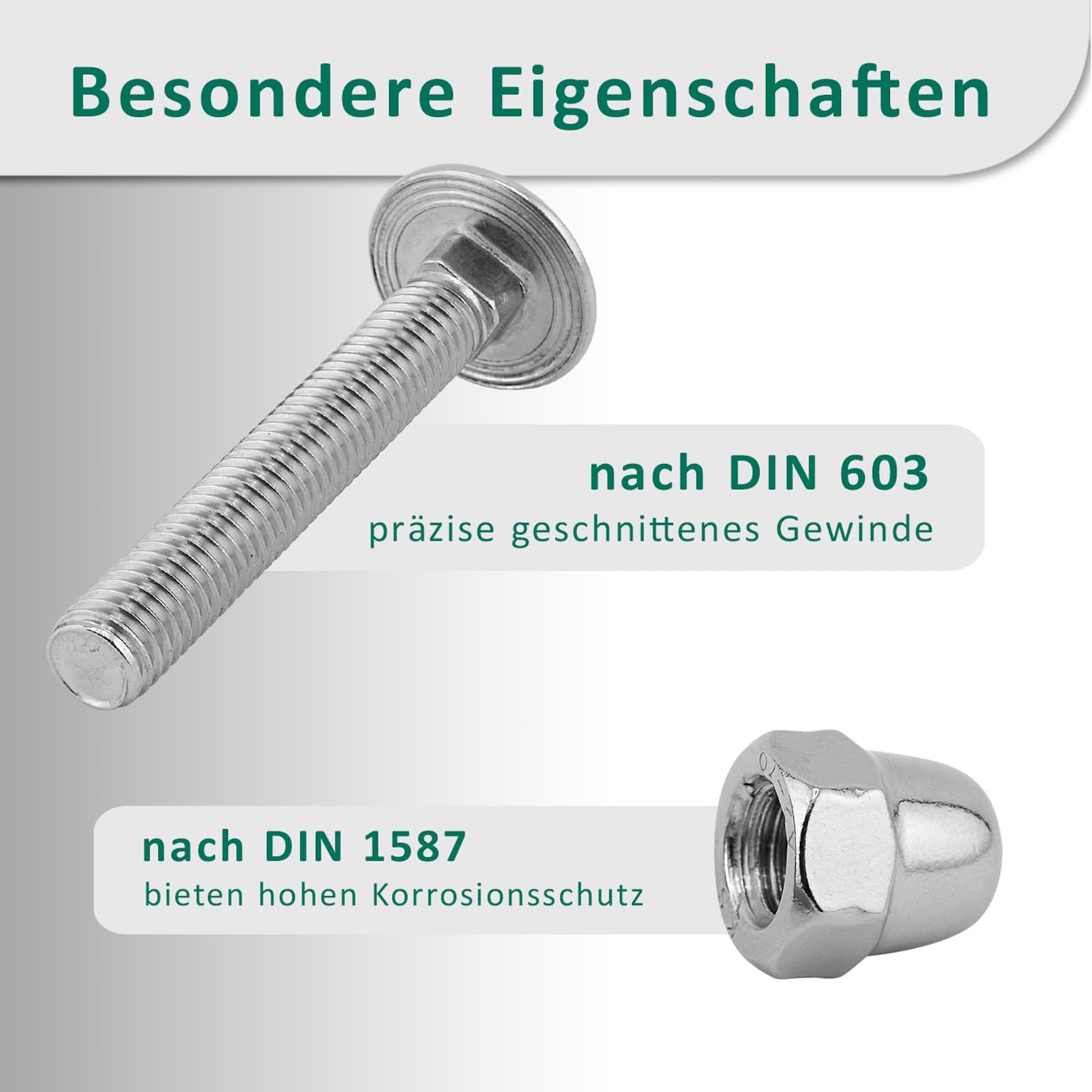 DSM - Viti a testa tonda M12 x 120 mm a norma DIN 603, dado M12, DIN 1587, in acciaio inox A2/V2A, filettatura completa, viti a testa tonda piatta con attacco quadrato, dadi a cupola, forma alta, 10