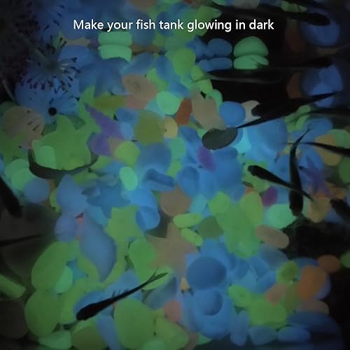 Miniatura 5 de Las rocas de acuario, pueden brillar en la oscuridad después de la exposición diaria a la luz, bonitas piedras decorativas en forma de artículo de