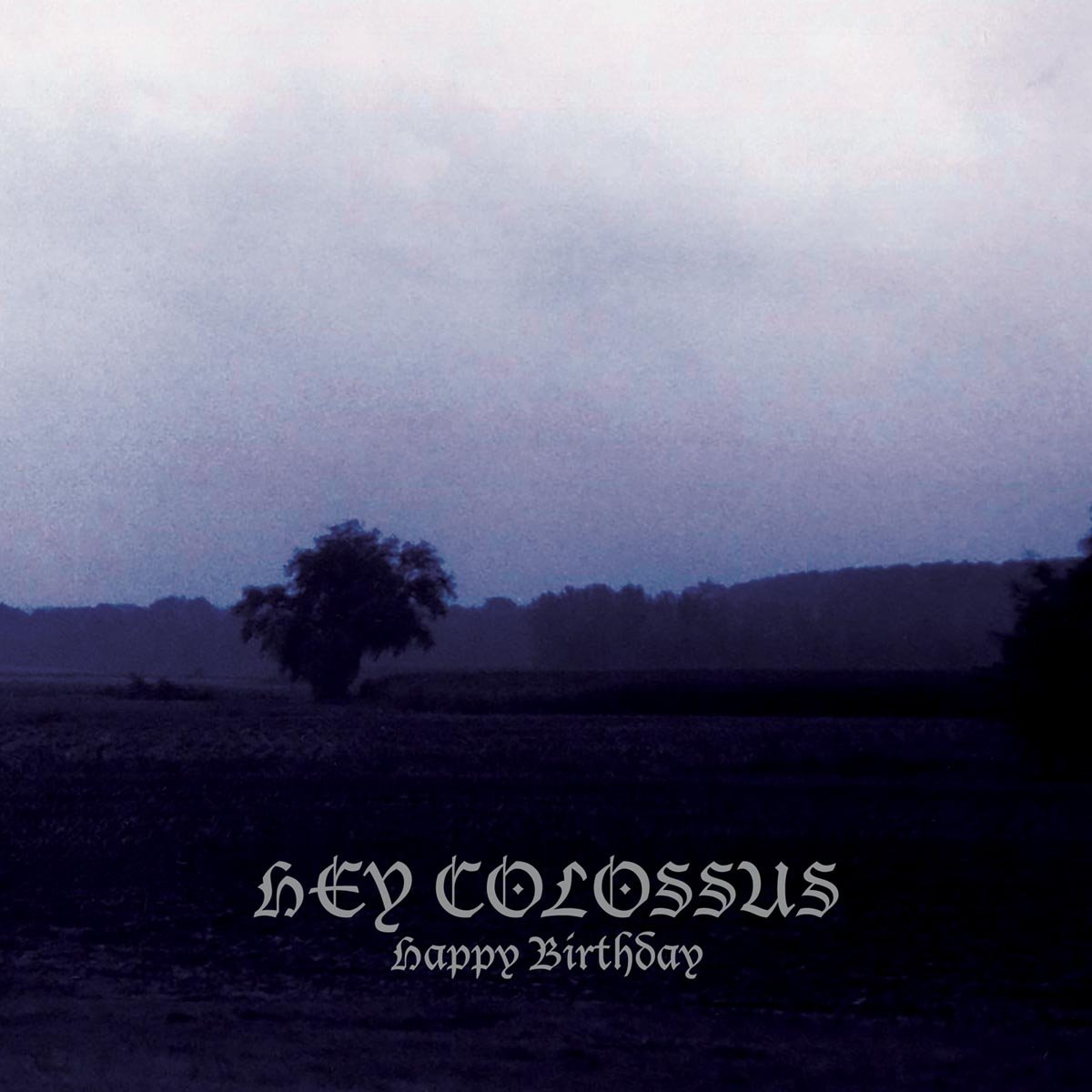 Happy Birthday [VINYL]