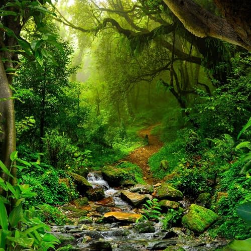 #07 Amazon Deforestation cover art