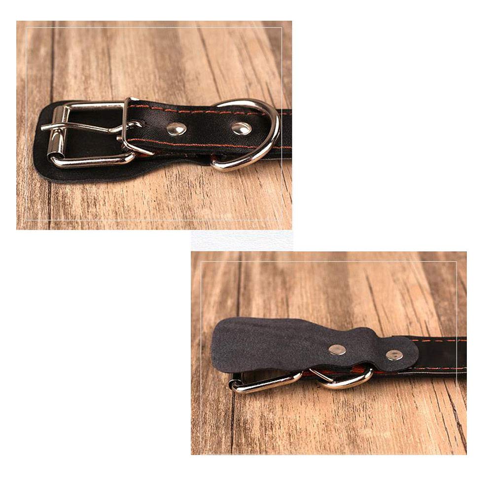 REYG Corde De Laisse pour Animaux De Compagnie à Main,Blue