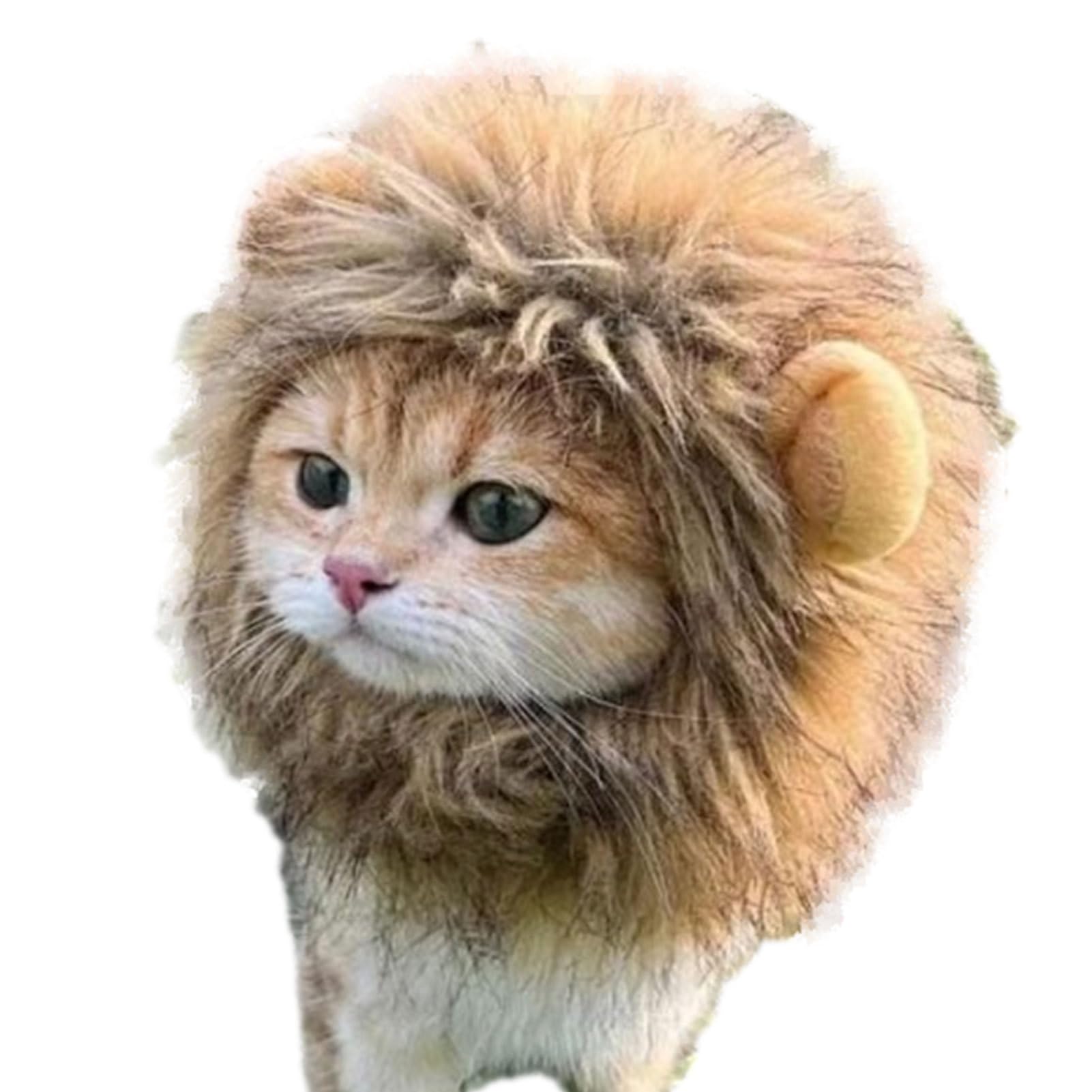 Neamou Disfraz de Melena de león Gato,Melena de león Gato | Peluca de Melena de león para Vestir Gatitos - Vestido Divertido Lavable para Gatito, Disfraz Elegante, Sombrero de de león para Navidad,