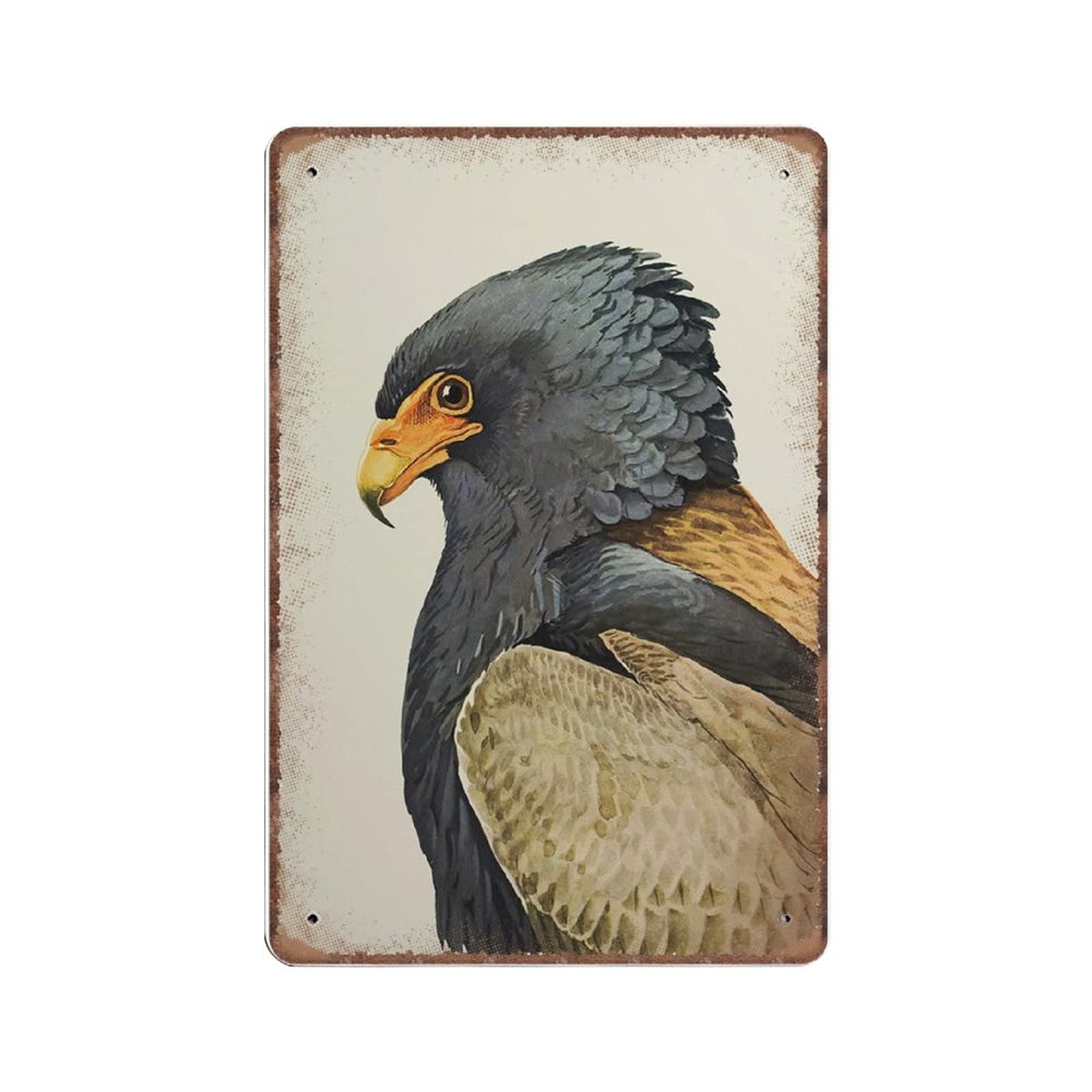 rayprint Bateleur Eagle Tin Signs Funny Vintage Metal Sign Plaqu Poster Wall Art Pub Bar Kitchen Garden Bathroom Home Decor, 20x30 cm