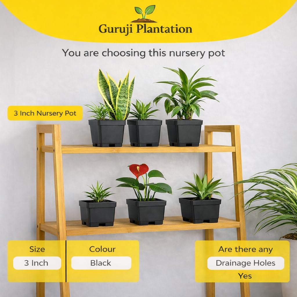 Black Plant Pots - 6 Pack for Balcony & Garden -3