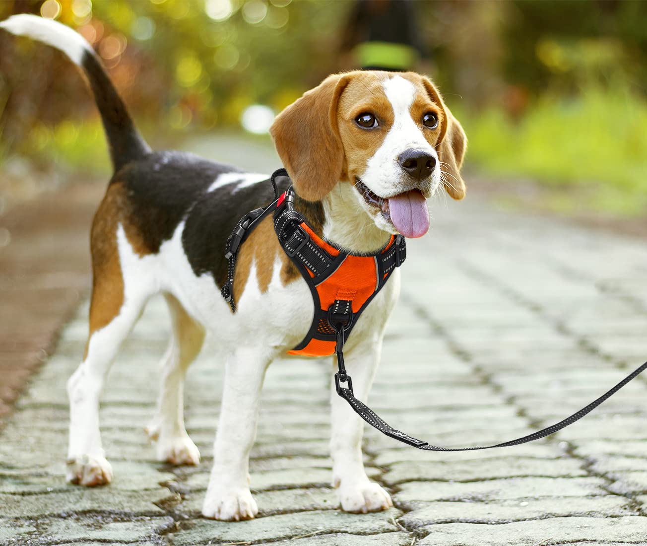 PoyPet Imbracatura per cani senza tirare anteriore riflettente gilet per animali domestici con impugnatura di controllo facile e retro perfetto per l'allenamento quotidiano, camminata, corsa
