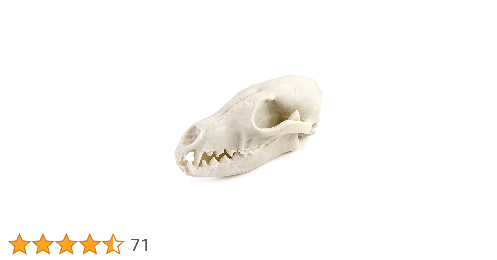 61y4T8BlAoL.jpg_BO30,255,255,