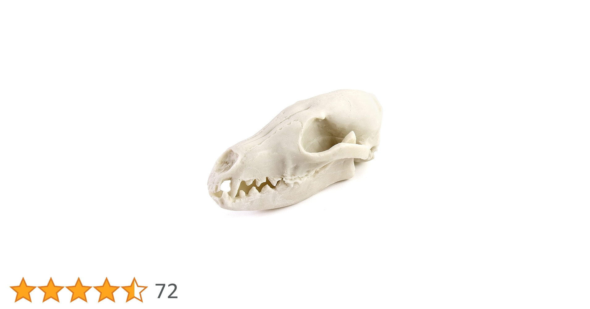 61y4T8BlAoL.jpg_BO30,255,255,