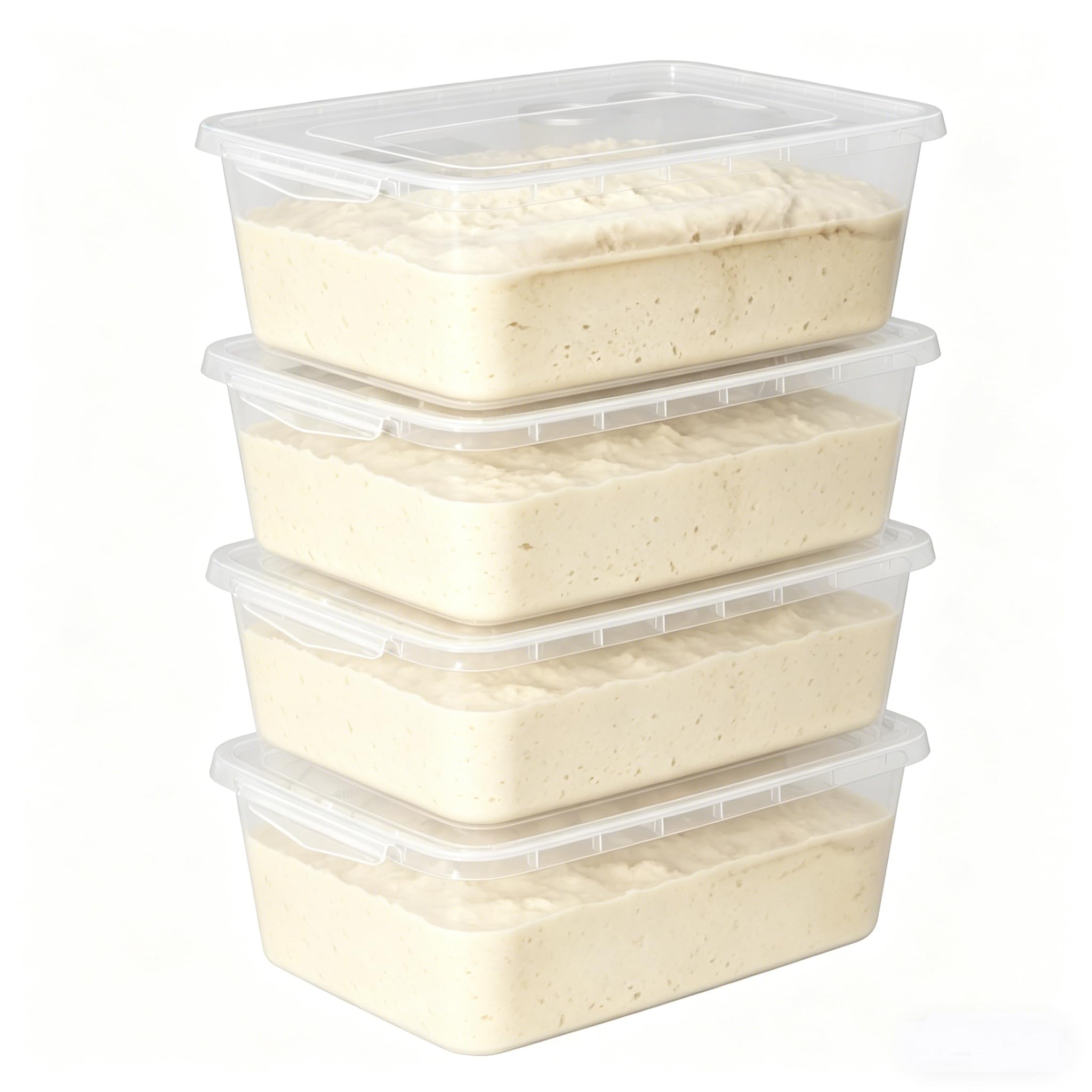 Parlynies 4-Pack Proofing Container with 14 L Capacity, Dough Rising Box for Bread, Sourdough, Pizza