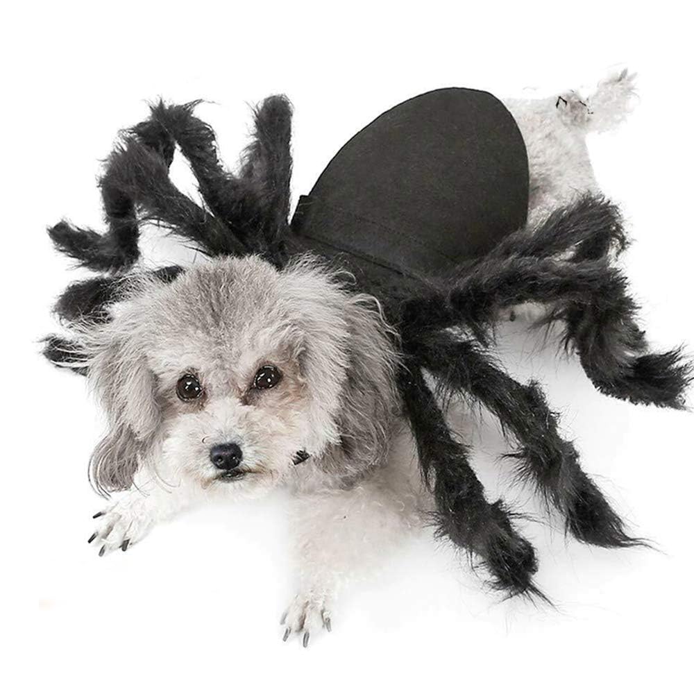 Dog Spider Costume, Halloween Cosplay Costumes for Small Dogs and Cat Black