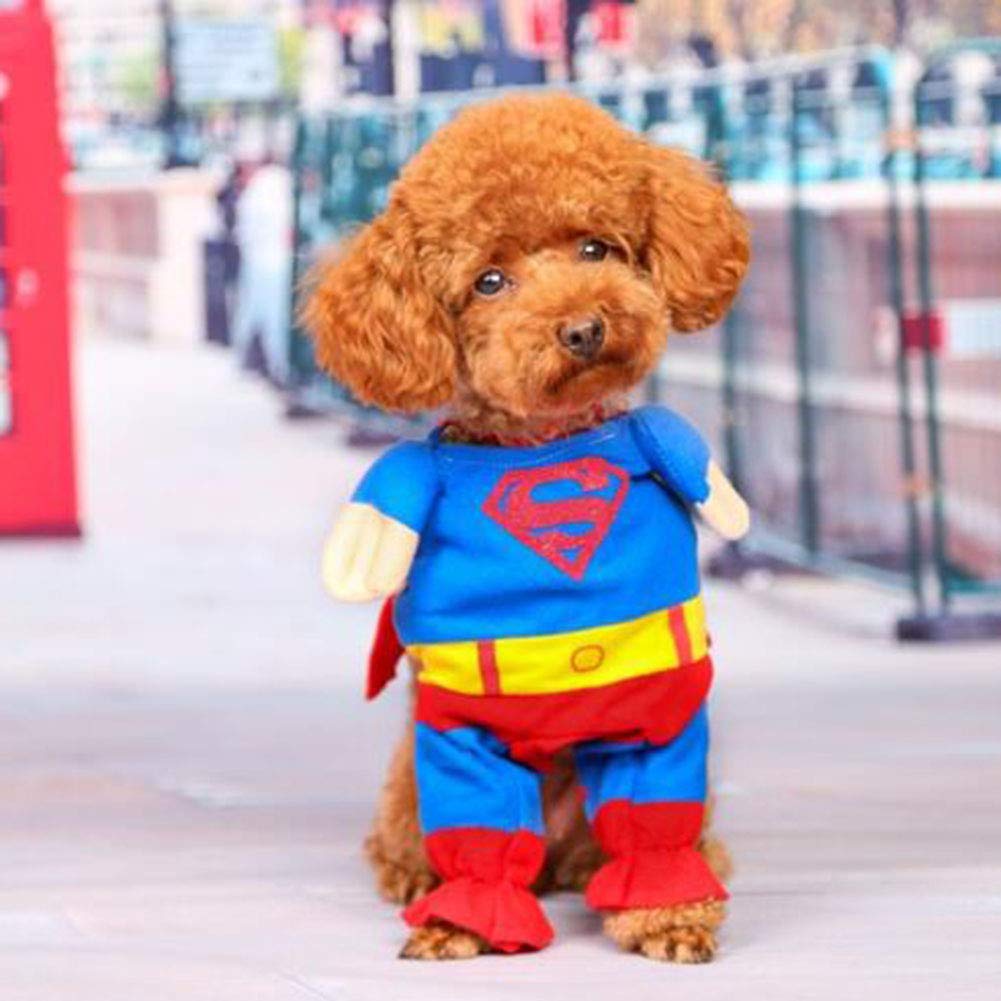 Halloween Pet Clothes Superman Clothes Dress Up Costume Dress Party Costume Easter Dog Kitten Dress Beauty Clothing
