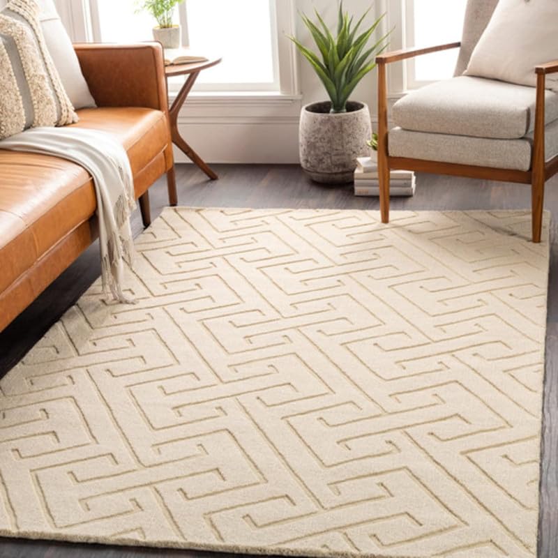 Image of Hand Tufted Modern Design Exported Collection High Low Pattern Wool Carpet for Living Room, Bedroom & Hall (Beige C, 4 x 6 Feet)