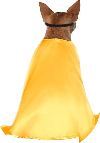 Miniatura 4 de Disfraz Rubies Costume Company de Robin de DC Comics para perro grande, 2x, Rojo