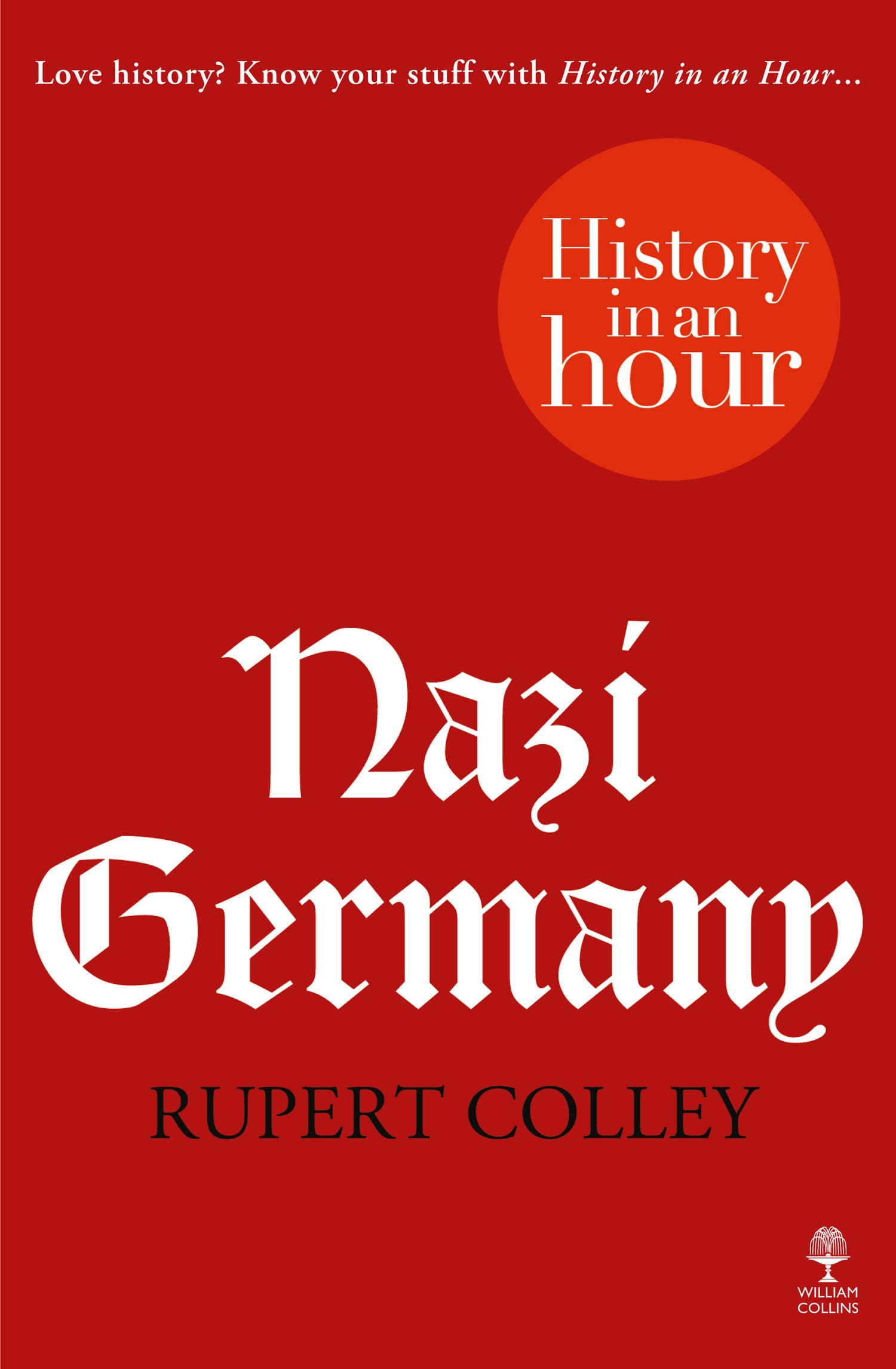 Nazi Germany: A Comprehensive History of Hitler’s Rise to Power and WWII