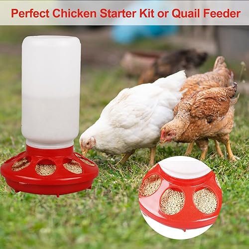 Miniatura 5 de OUYOLAD Comedero para pollos, comederos de pollo para bebés, comedero de patos, comedero de codorniz, suministros de pollo para bebés de 1 litro