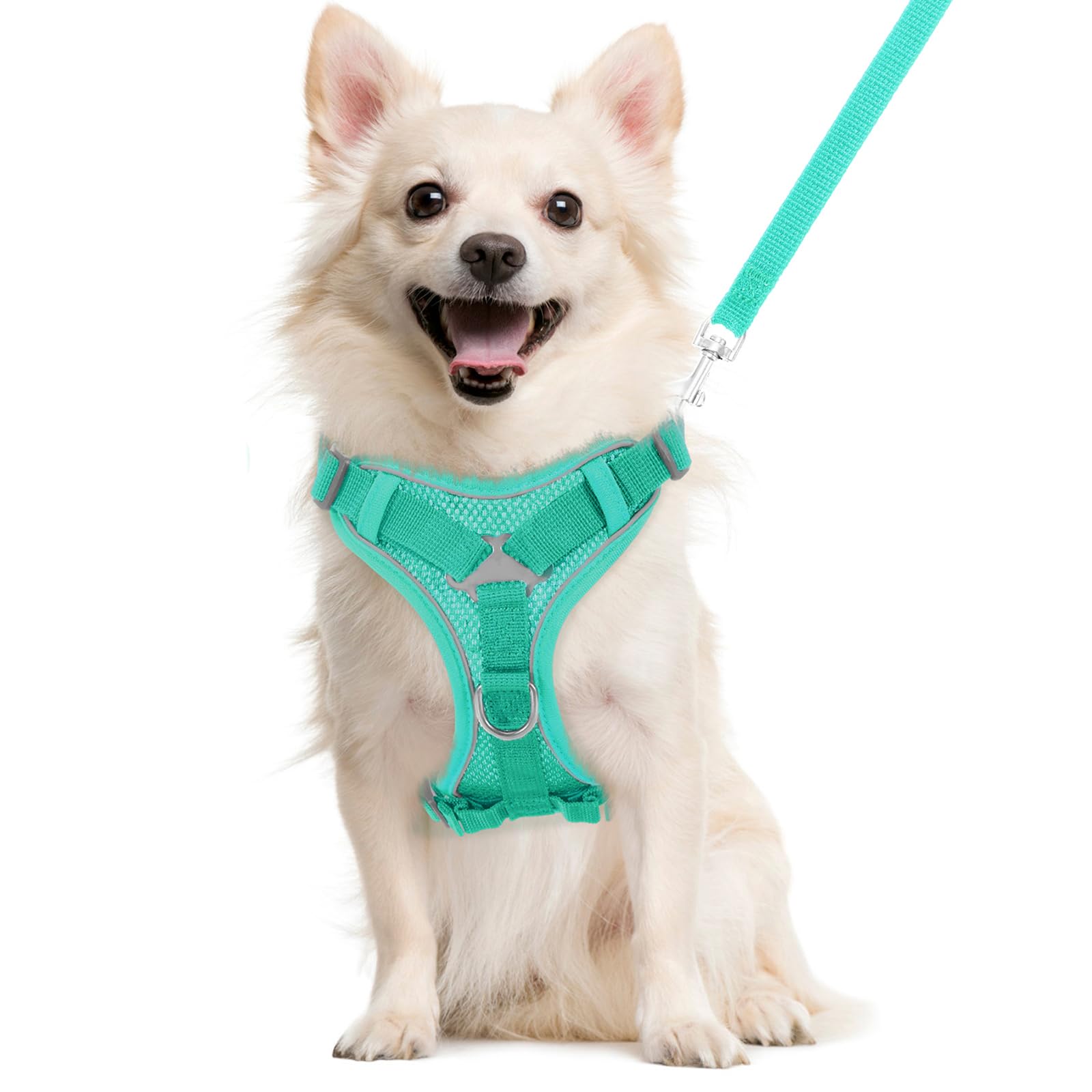 VavoPaw Pettorina per Cani con Guinzaglio da 1,5M, Imbracatura per Gatti Antifuga con Rete Traspirante e Strisce Riflettenti, Gilet Morbido e Regolabile per Cani Gatti, Lago Blu, L