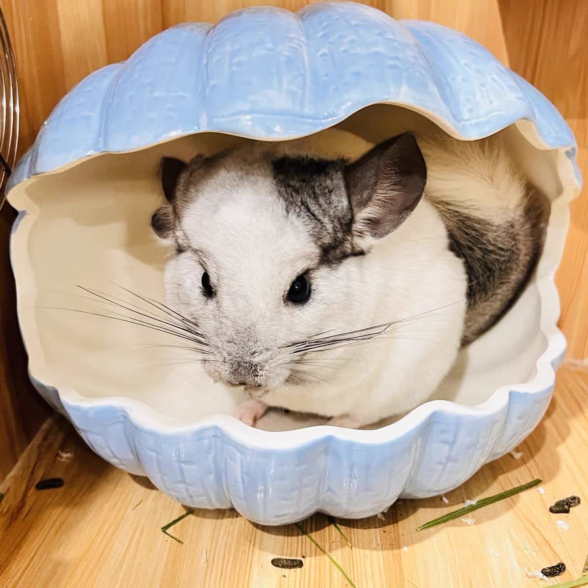 Kleintierversteck, extra groß, Keramikschalenform, Meerschweinchenhaus, Chinchilla, Iglu, Hütte, Sommerbett, Käfig, Zubehör für Igel, Kaninchen, Hamster, Ratten (XL (24.1x17.8x20.9 cm), blau)