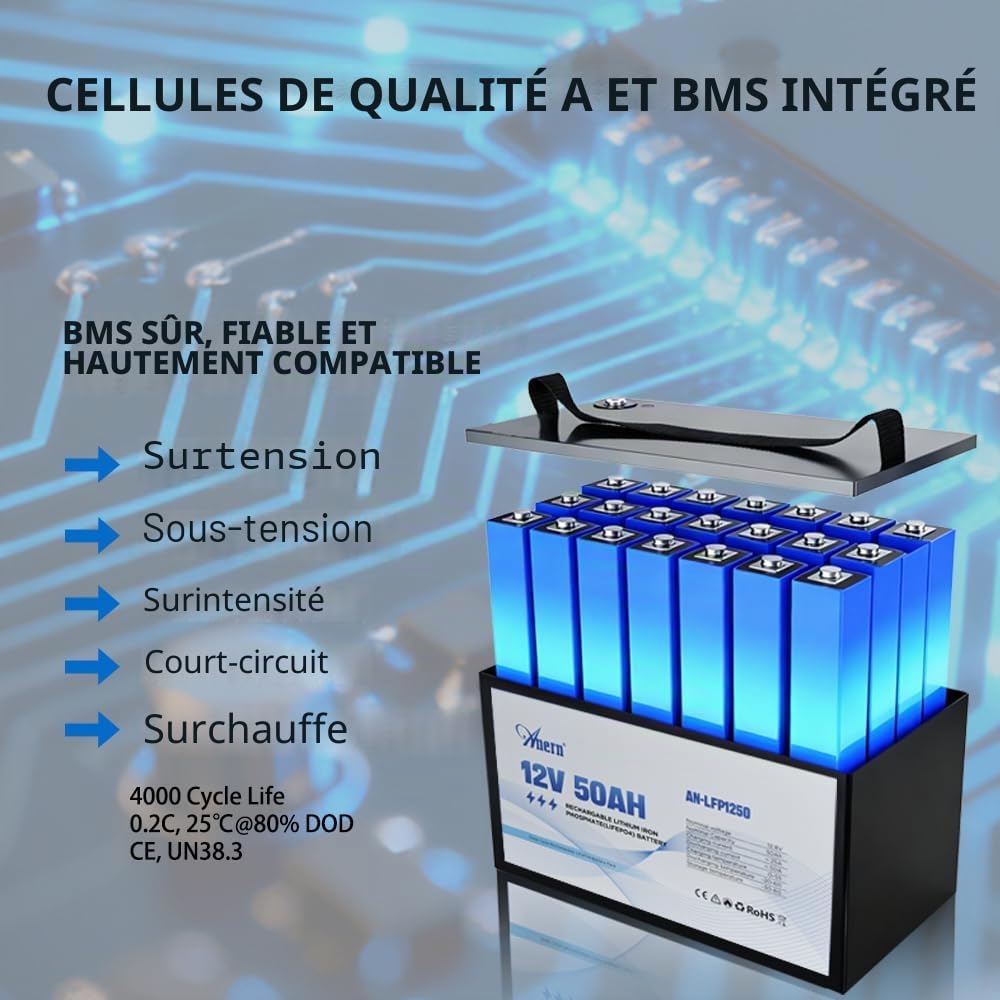 Anern Rechargeable Batterie LiFePO4 12V 50Ah 640Wh avec BMS 4000+ Cycles Batterie Lithium Prend en Charge la Connexion 4S4P Camping-Car, kit Panneau Solaire, Camping