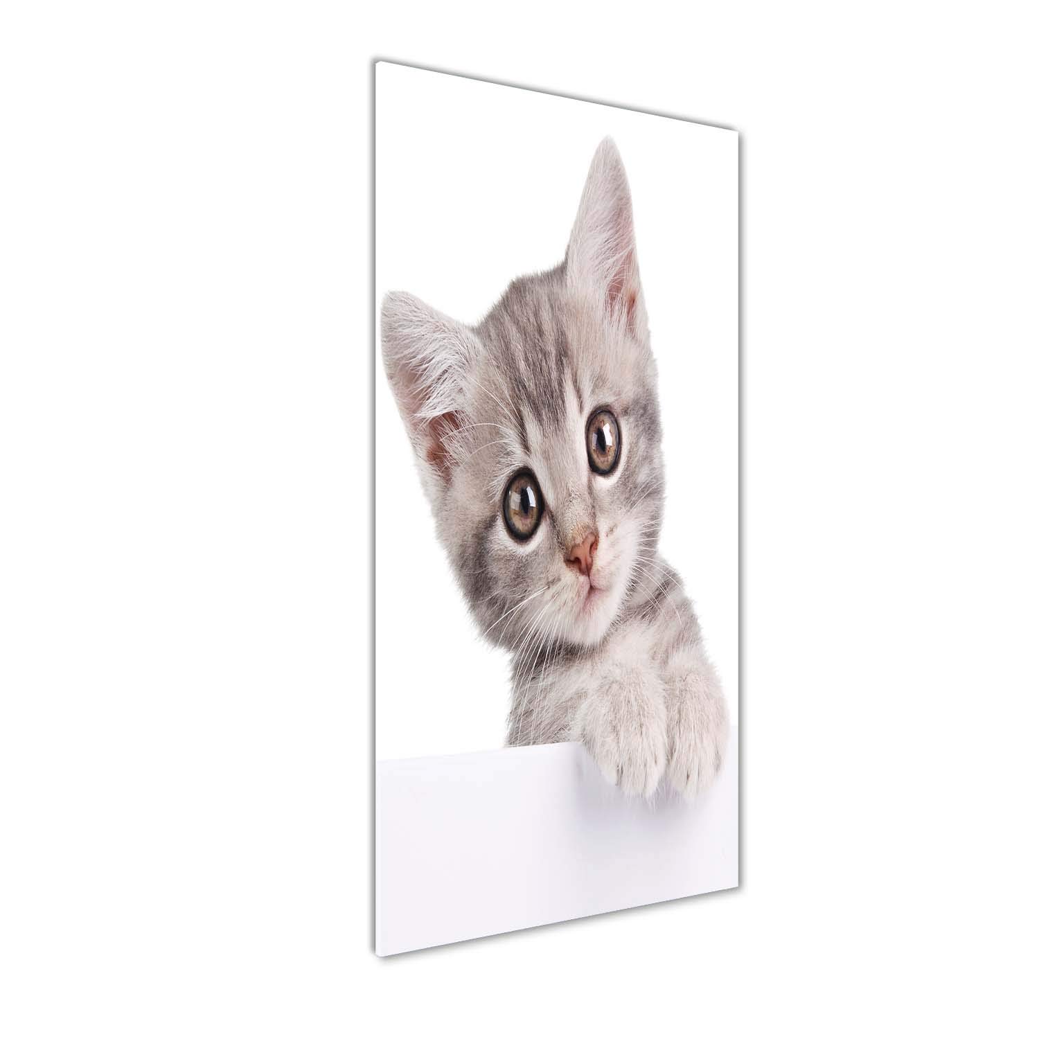 Impression sur verre acrylique Tulup chat gris 50x125 tableau mural animaux design
