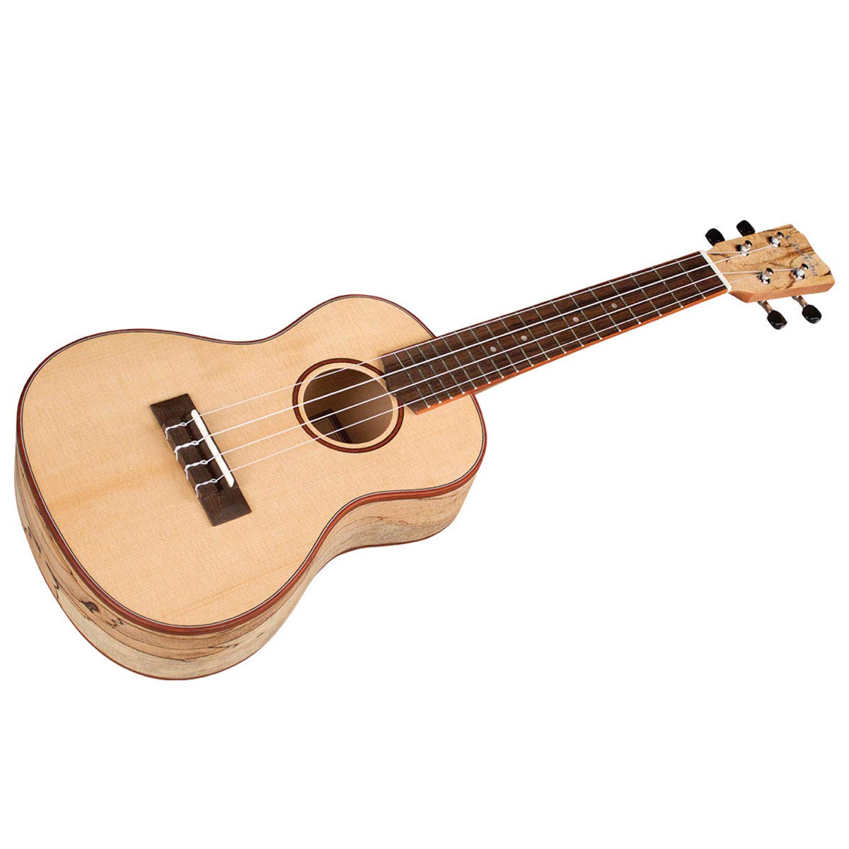 Amazon.com: Cordoba 24C Concert Ukelele : Musical Instruments