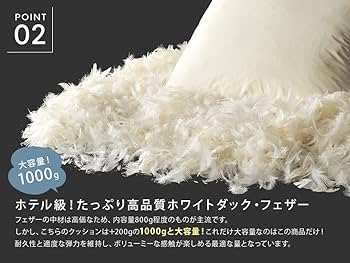 Amazon.co.jp: cortina(コルティーナ) オリジナル商品 日本製フェザー Amazon.co.jp: cortina(コルティーナ) オリジナル商品 日本製フェザー