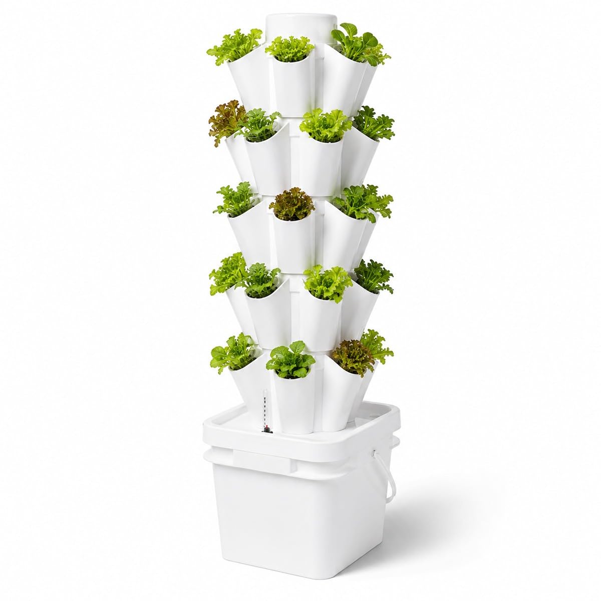 Baannaww Hydroponic Tower, 5 to 30 Holes Indoor Hydroponics Growing System