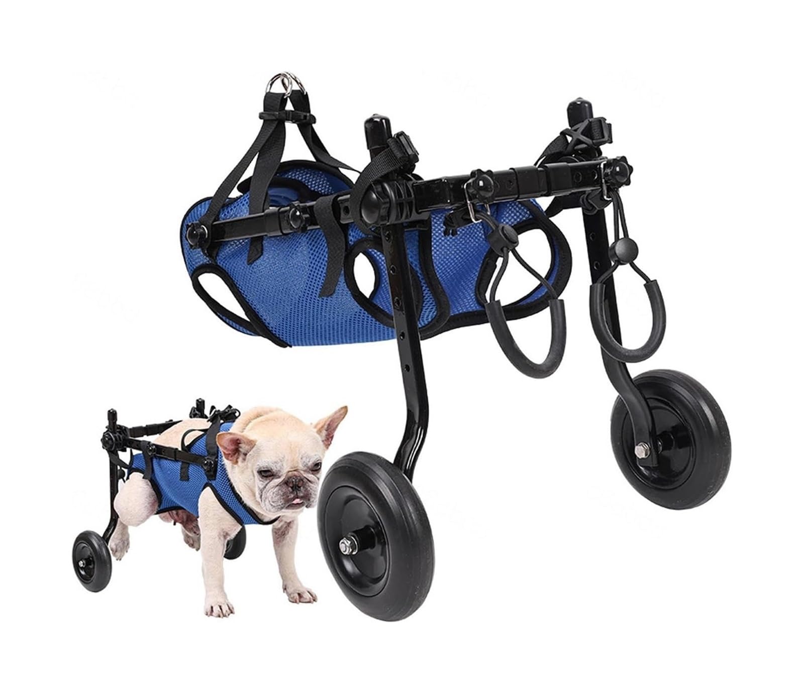 Fauteuils roulants pour chiens handicapés : offrez-lui une seconde jeunesse