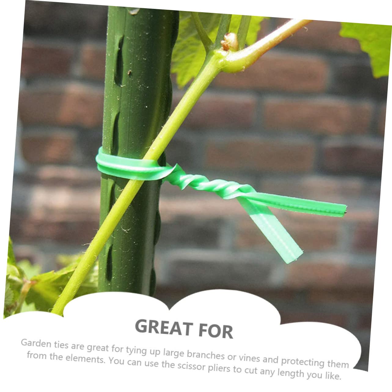 Toddmomy 2000pezzi Giardinaggio per per Rampicanti e Premium e Resistente Facili Usare