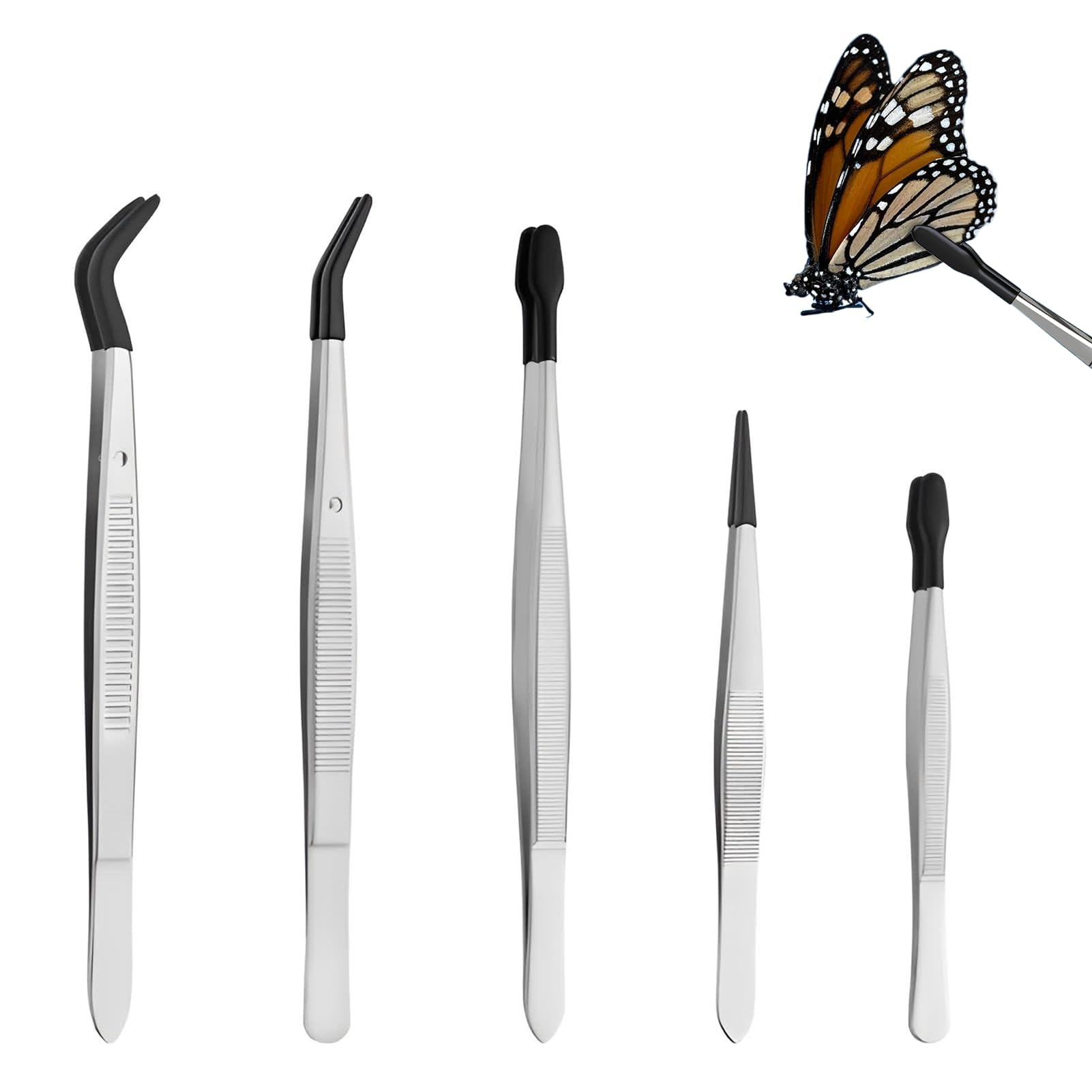 Lot de 5 pinces à épiler en acier inoxydable avec pointe en caoutchouc pour entomologie, taxidermie et travaux fins