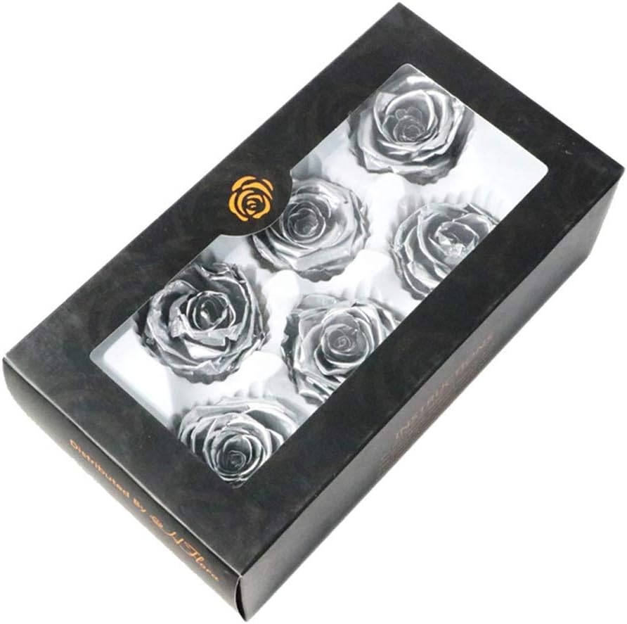 6pcs Preserved Real Rose Flower Handmade Rose in Gift Box Eternal Real Rose DIY Materials for Christmas Valentine's Day Wedding Birthday (Colour: Silver)