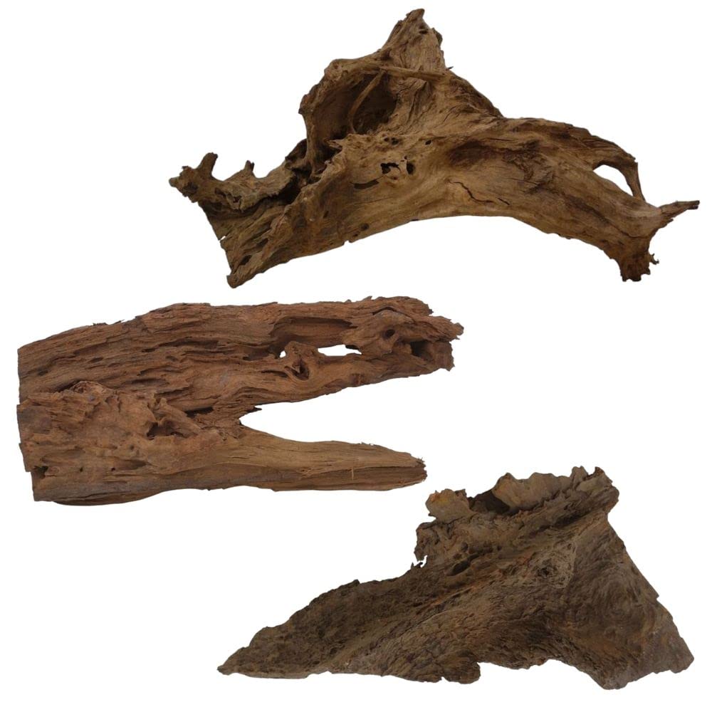 AquaOne Racine de mangrove - Taille XL - 1 pièce - 70-80 cm - Bois naturel - Décoration d'aquarium - Racine en bois véritable
