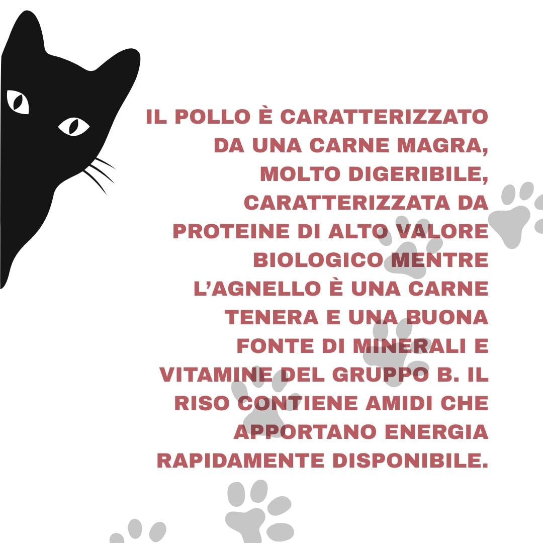 Natural Code - Comida húmeda para gatos adultos con sabor a pollo y cordero, número XL15, alimento completo en SFILACCETTI para gatos adultos de todas las tallas, altamente digerible | 12 latas de 170