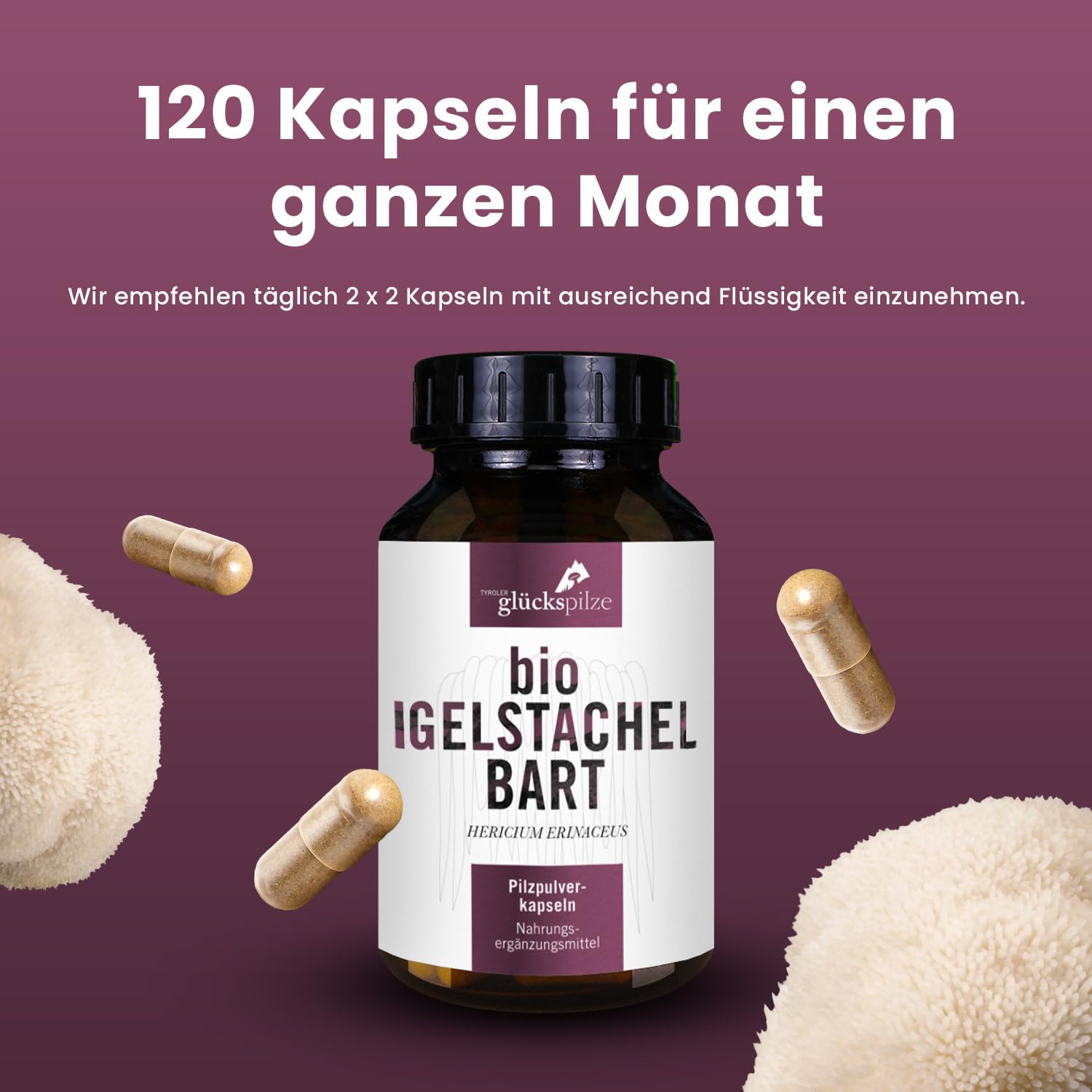 BIO Hericium Kapseln - Löwenmähne, Lions Mane, Igelstachelbart vom ganzen Pilz - Vitalpilz Hericium erinaceus Pilzpulverkapseln ultrafein vermahlen - AT-BIO-701 Bio-Zucht in Österreich - 120 Stk