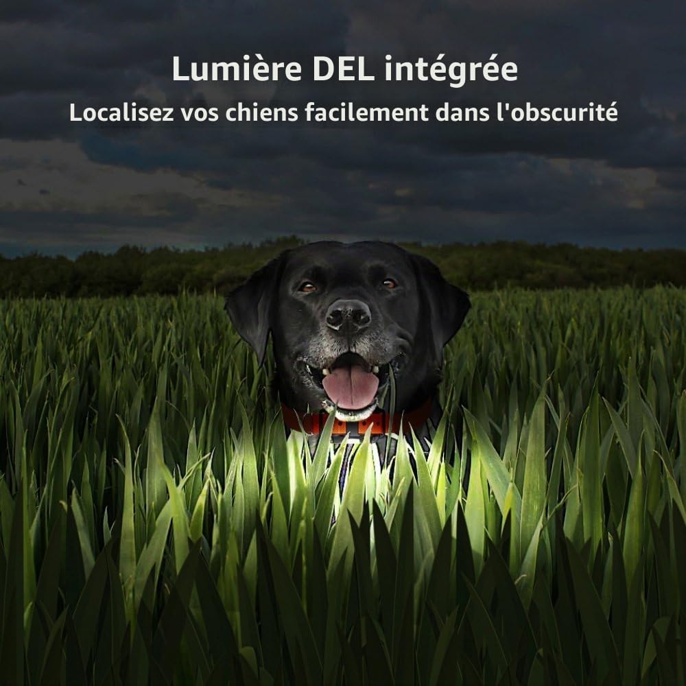 Collier de Dressage pour Chiens Electrique, Anti Aboiement avec Télécommande Beep Vibration Choc et Lumière LED, Etanche Rechargeable pour 2 Chiens Petit Moyen Gros Noir