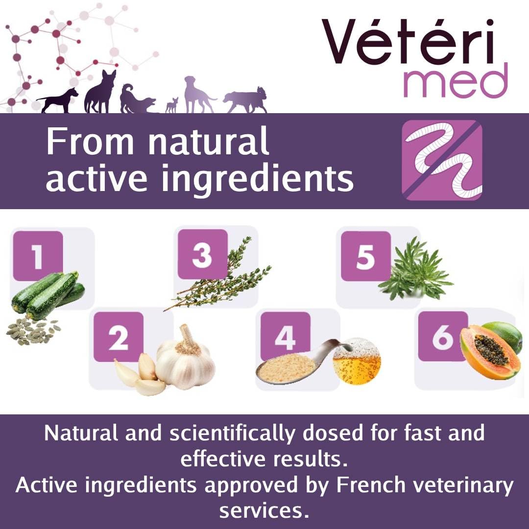 Comprimés vermifuges naturels pour l'hygiène intestinale des Chiens - Agit sur Tous Types de vers - Fabriqué en France - 30 comprimés - Version Anglaise