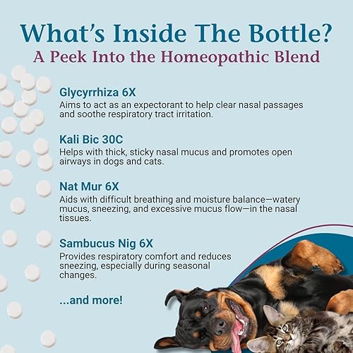 Miniatura 4 de PetAlive Sinu-Rite - Alivio de la congestión nasal para gatos y perros, tabletas homeopáticas, apoya el alivio temporal de la congestión sinusal,