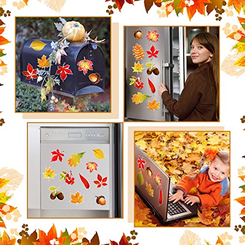 Konohan 12 imanes decorativos hojas de otoño miniatura 7