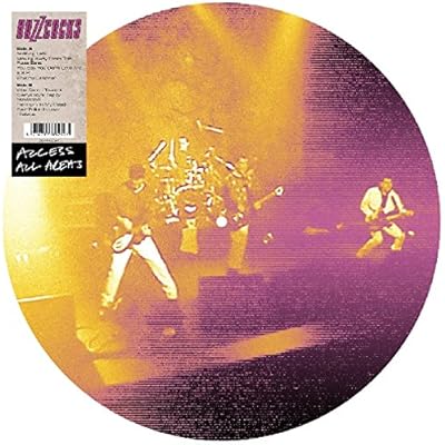 Access All Areas: Buzzcocks Live 1990