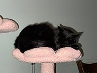 Review Image by REYNA